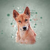 Splash - Afbeelding 3