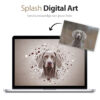 Splash