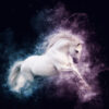 Stardust - Afbeelding 2