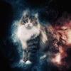Stardust - Afbeelding 3