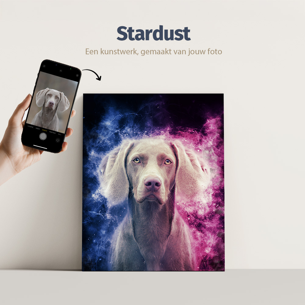 Stardust - Pets-and-pictures - Digitaal schilderij van je hond - digitale tekening